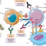 آزمایش گیرنده ی هورمون ها (Hormone Receptor Status  )